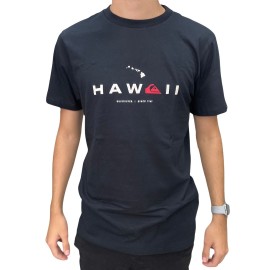 CAMISETA QUIKSILVER HI STATE OF MIND